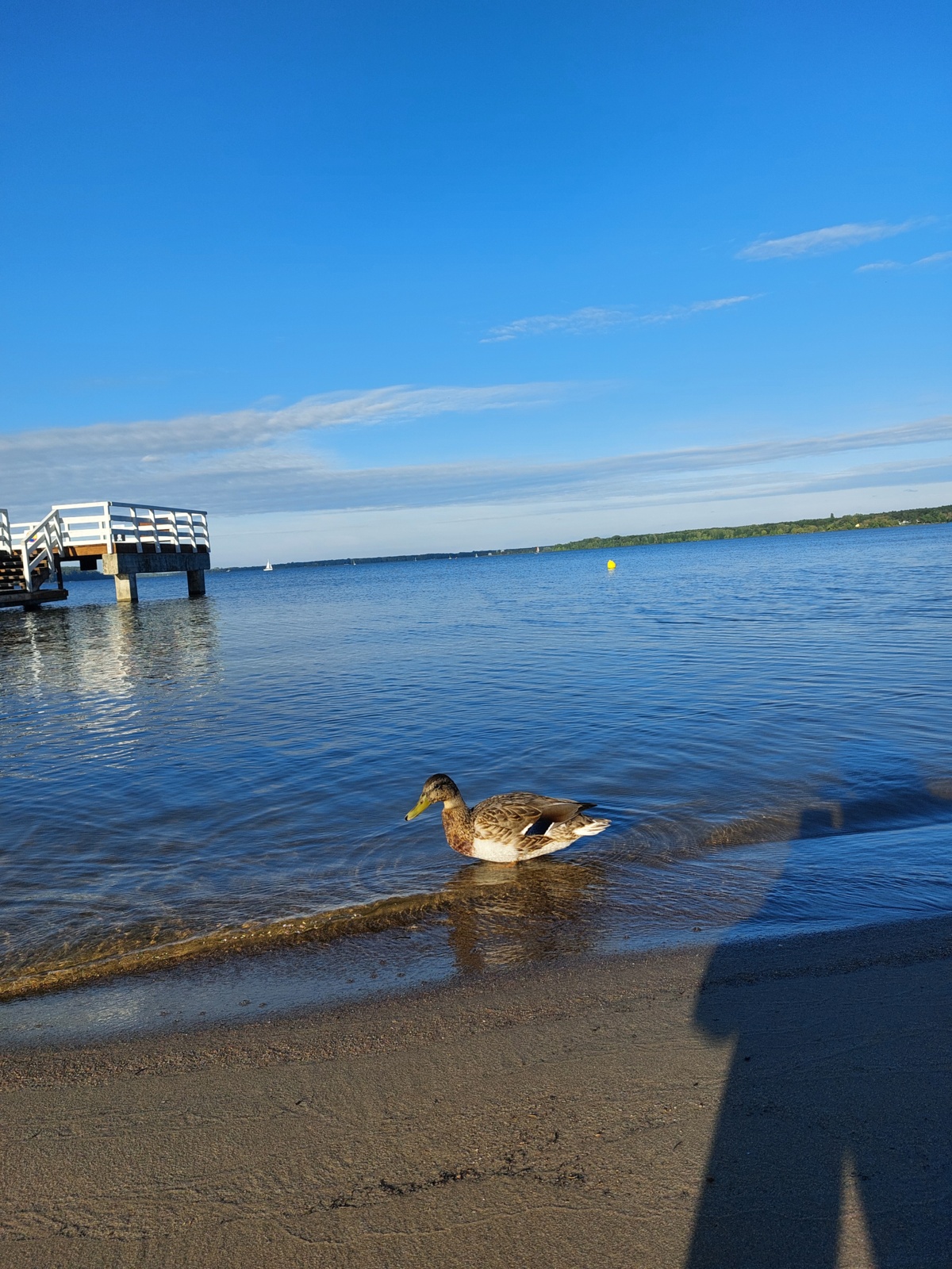 02d69ced-8ef3-4554-882c-c75352f948e5