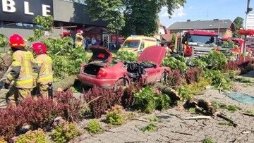 Drzewo przygniotło jadący samochód w Żywcu. Poszkodowane dwie osoby
