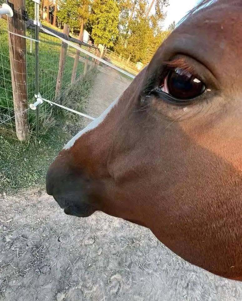 ab7b51ab-f568-4156-8c4f-dc93bd276436