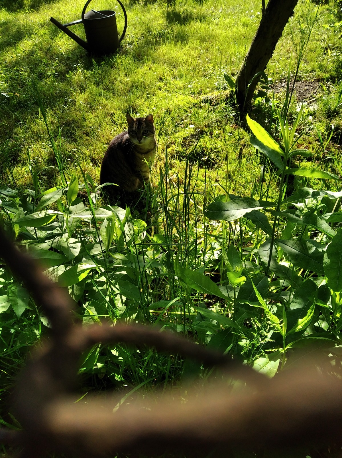 4bd0a36e-9914-499c-8844-1a19c9019fd7