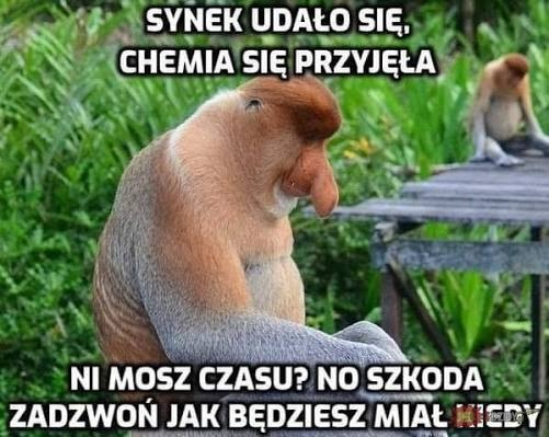 4a071a38-bde4-4cb1-a533-6042e1be8d24