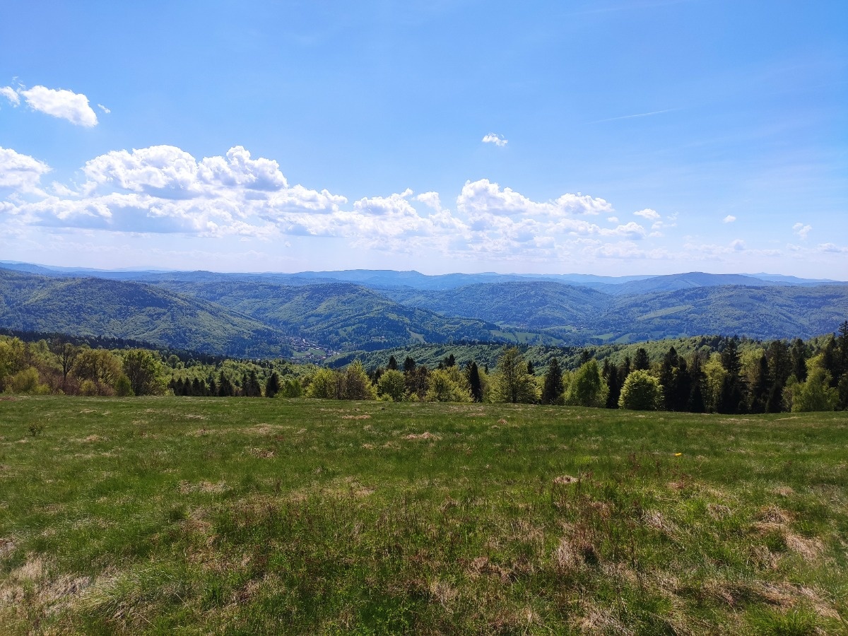 78f6174e-f2e5-48b3-b9a6-f034a26fe68b