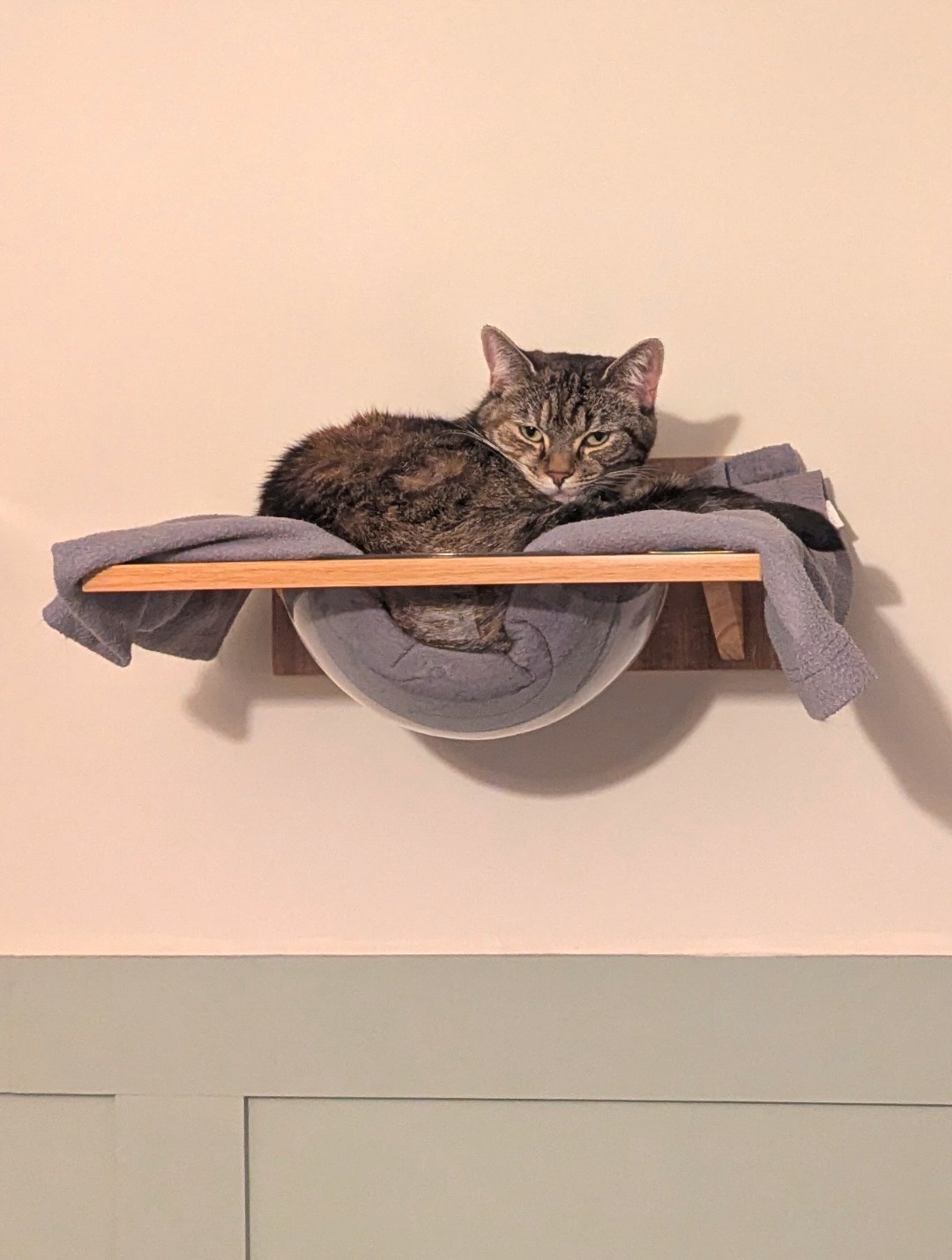 3dccd70e-1178-421b-8259-6e85255ee807