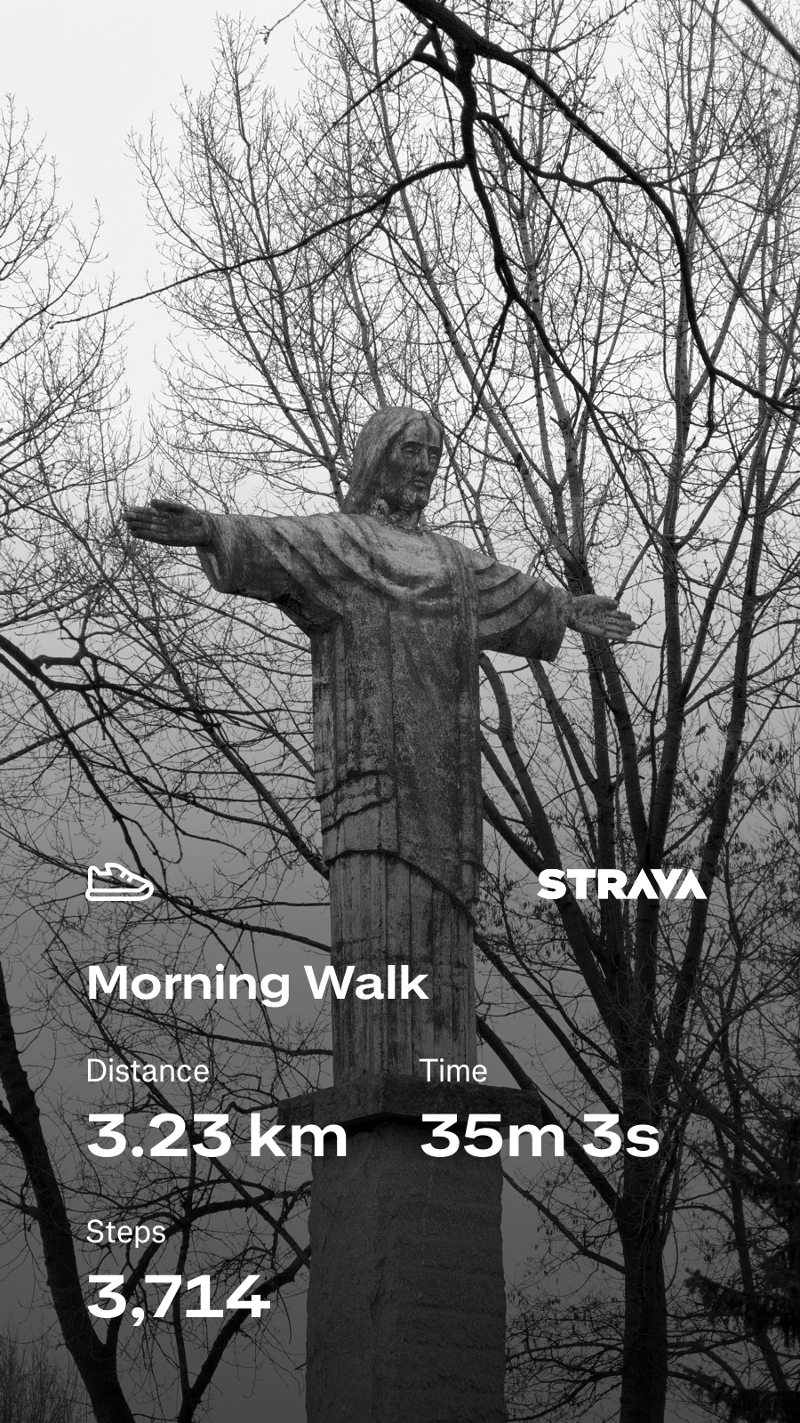 13f3f1c9-5c1d-4805-9641-92751816a79f