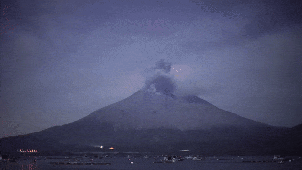 e325a019-5a3f-44a1-a13d-758b1e7e1855