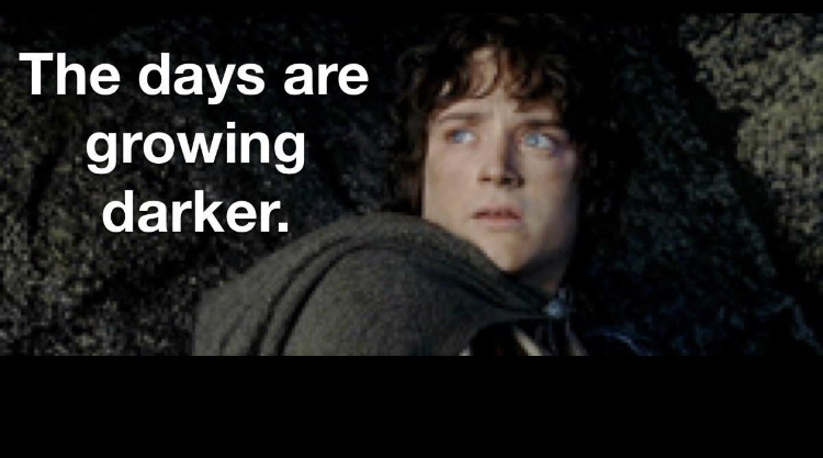 ffdd1ff6-b61d-4b79-9a4a-76f0556c7533