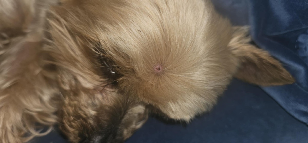 2b6f825a-dc7c-43e7-a62e-65e2aa4c24de