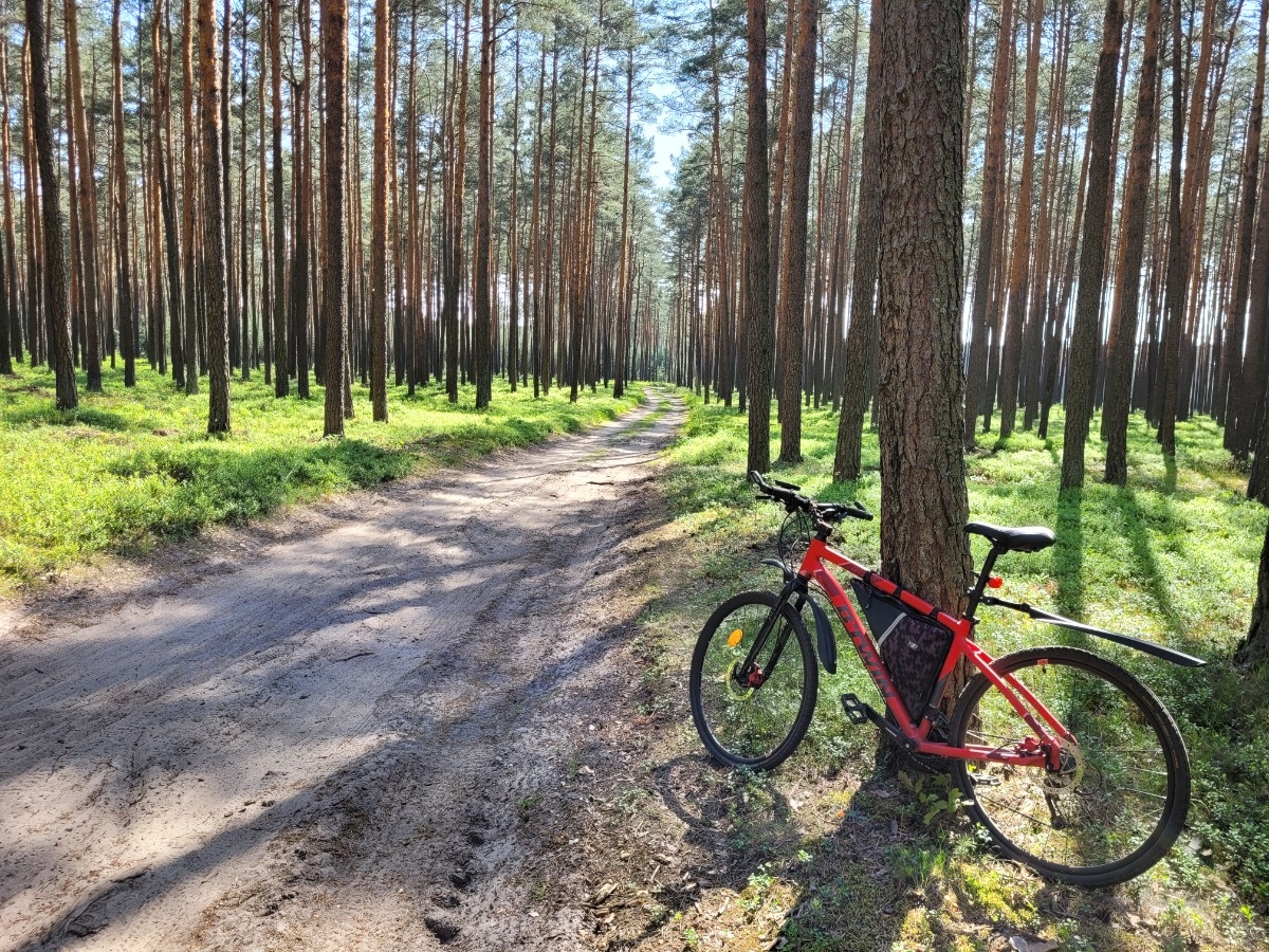 6e3679bf-dad2-4ef5-8876-26675e8f6750