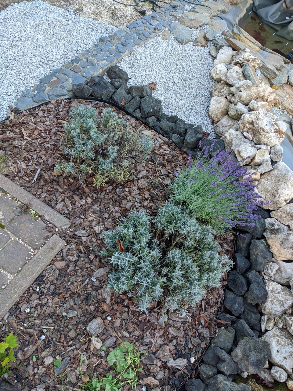 36a27af8-1c54-48c1-a6e5-ffd4dfc8174f