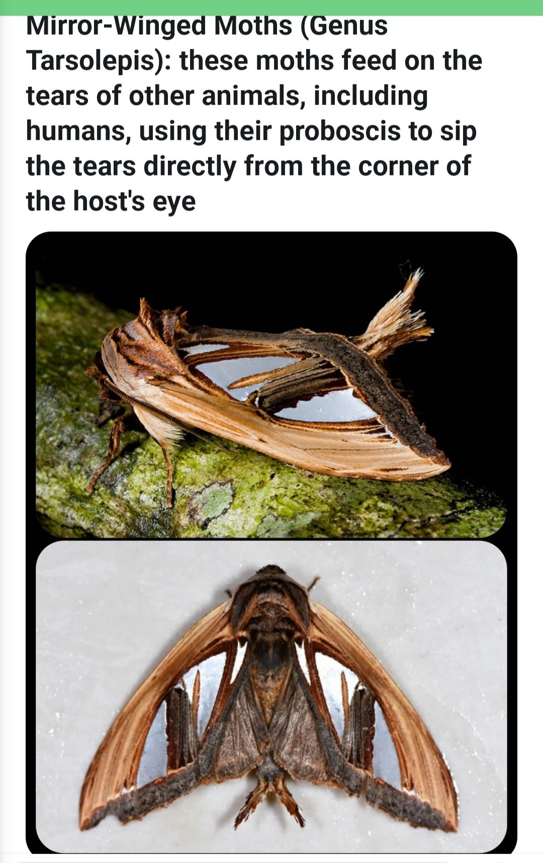 784c147f-2bb9-4a47-a88c-cafa10fd5277