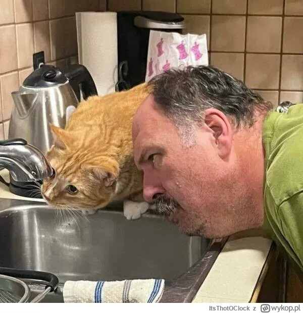 07a7920c-4e65-46db-a63b-0aac0a6b9886