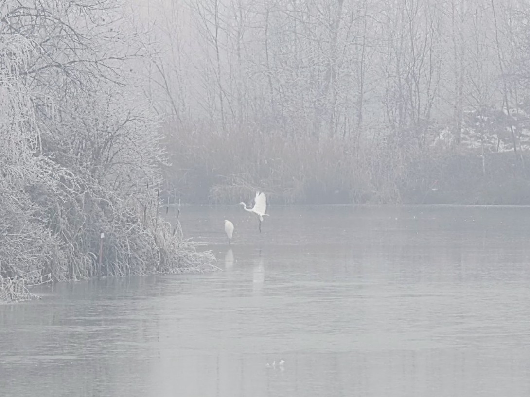 9d416066-cce2-4f88-8c1d-0834cbf0c7fc