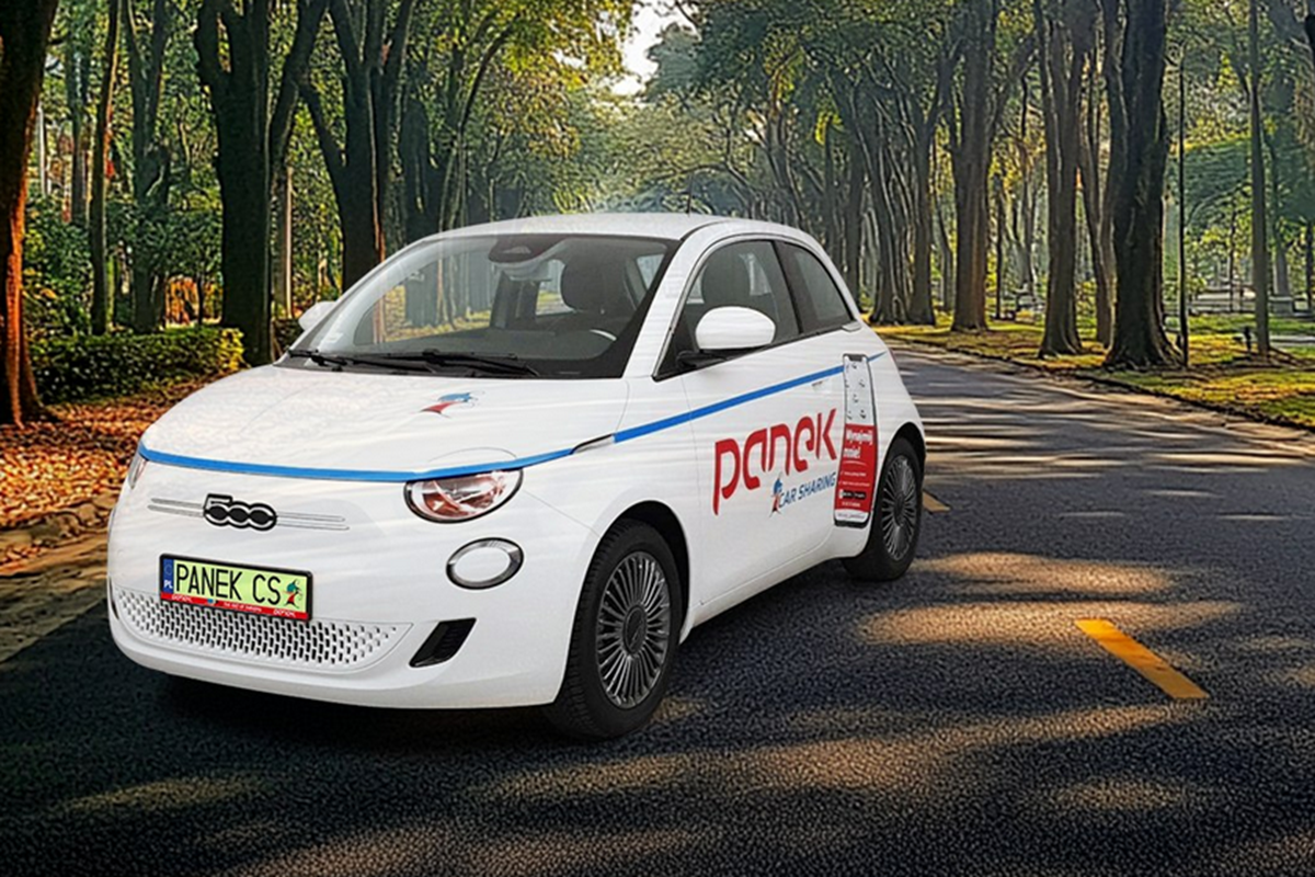 Panek zawiesza usługę carsharingu