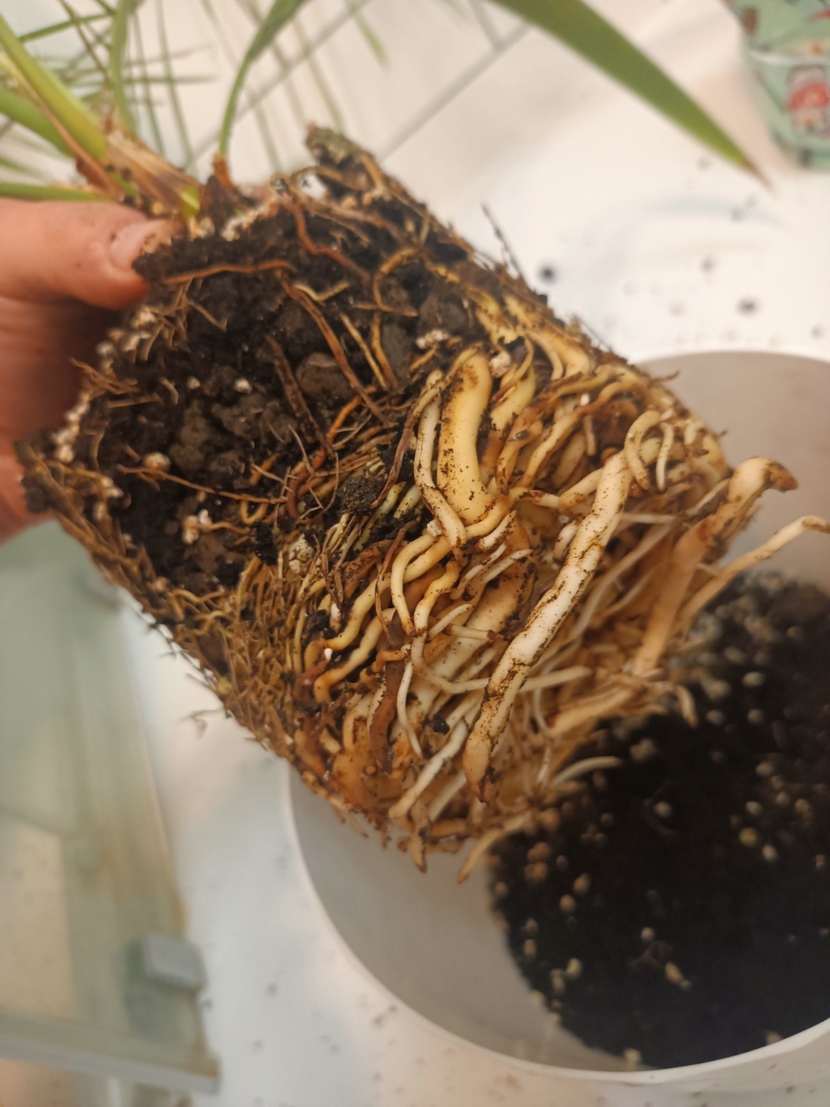 96918322-5b6e-4c73-8bc6-09572179d6d5