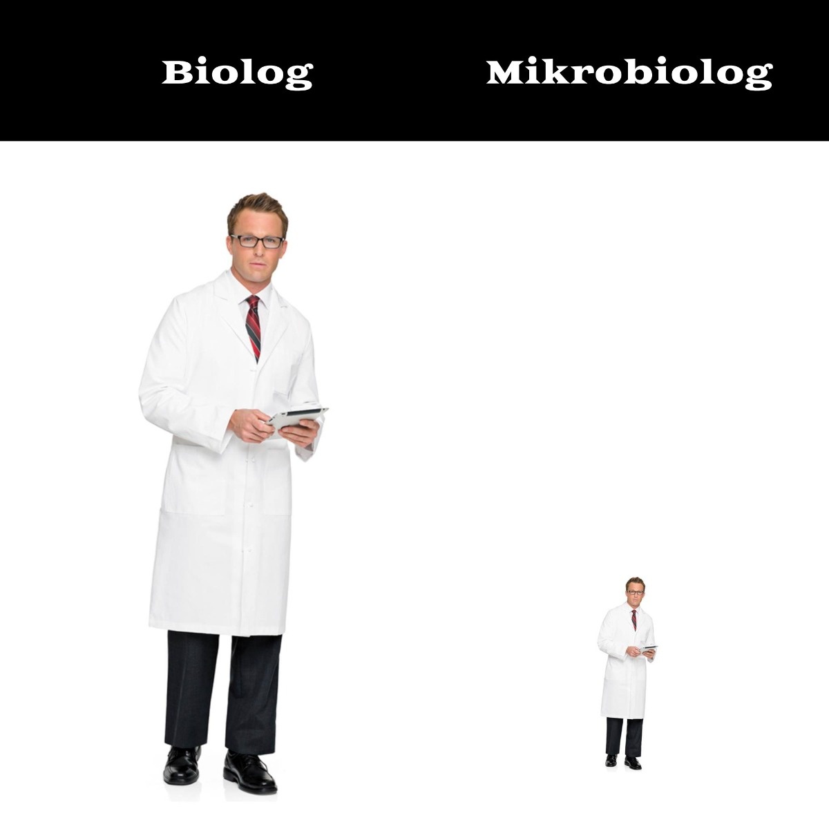 9c5371c8-d453-41eb-9447-51d60ac402ce