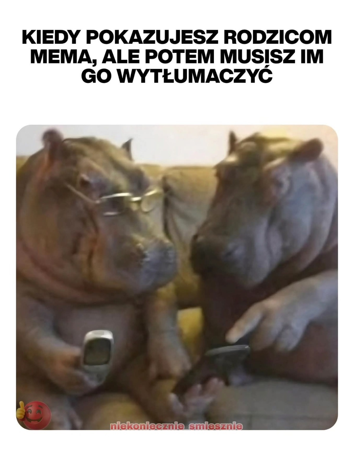 f1b9e286-0e3f-491d-80a2-9a8ac66279bc