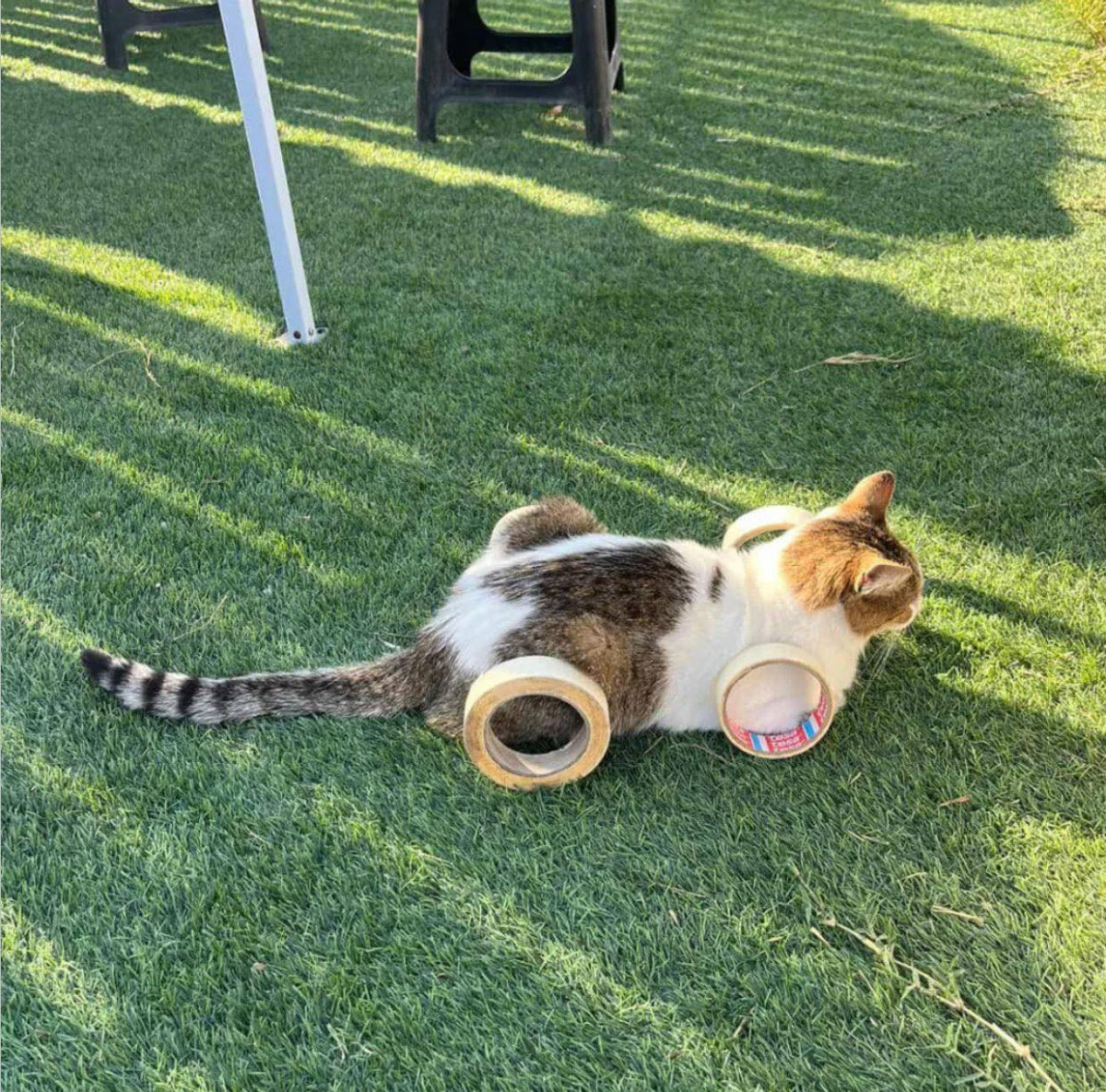 6816cc4a-836c-4d06-94d5-d269b334531e