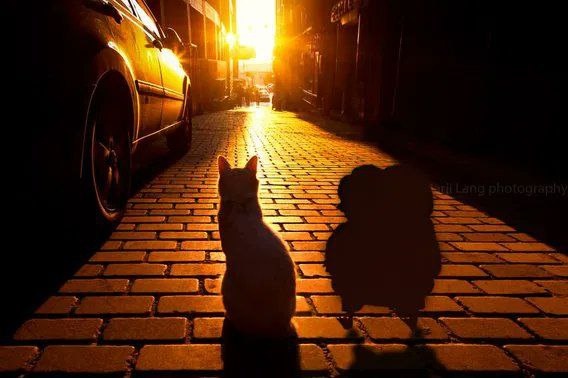 743994dd-0b79-46f9-a69f-05b251ed1fb7