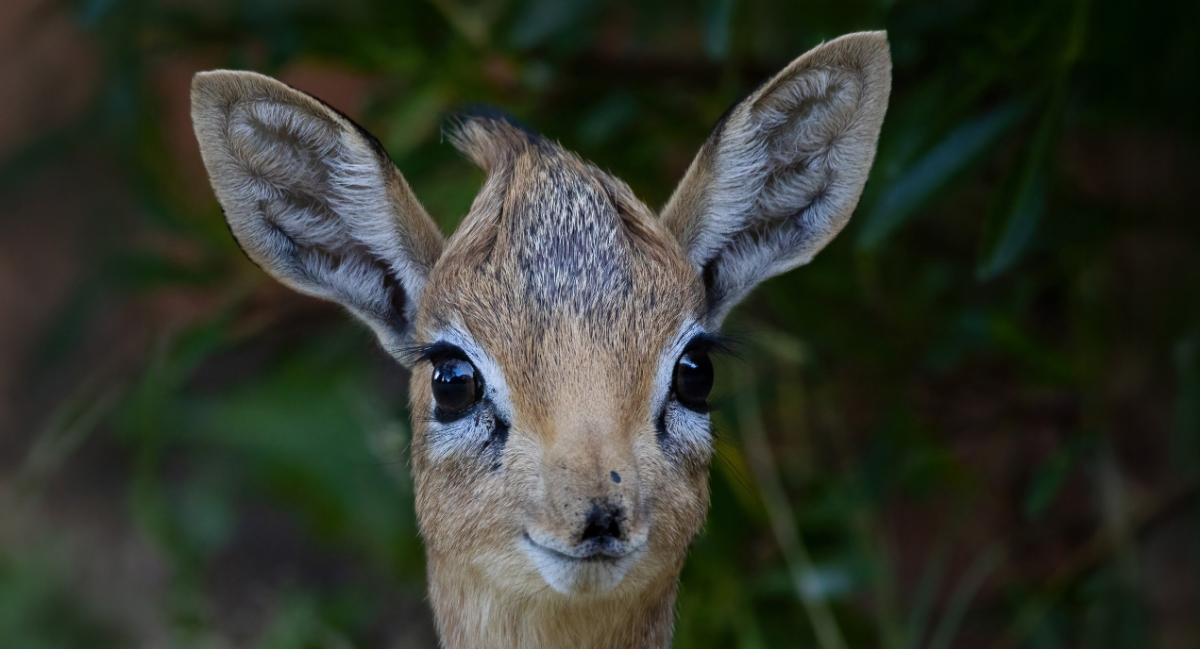 b7eee398-fcb4-47eb-9161-88a49bd88680