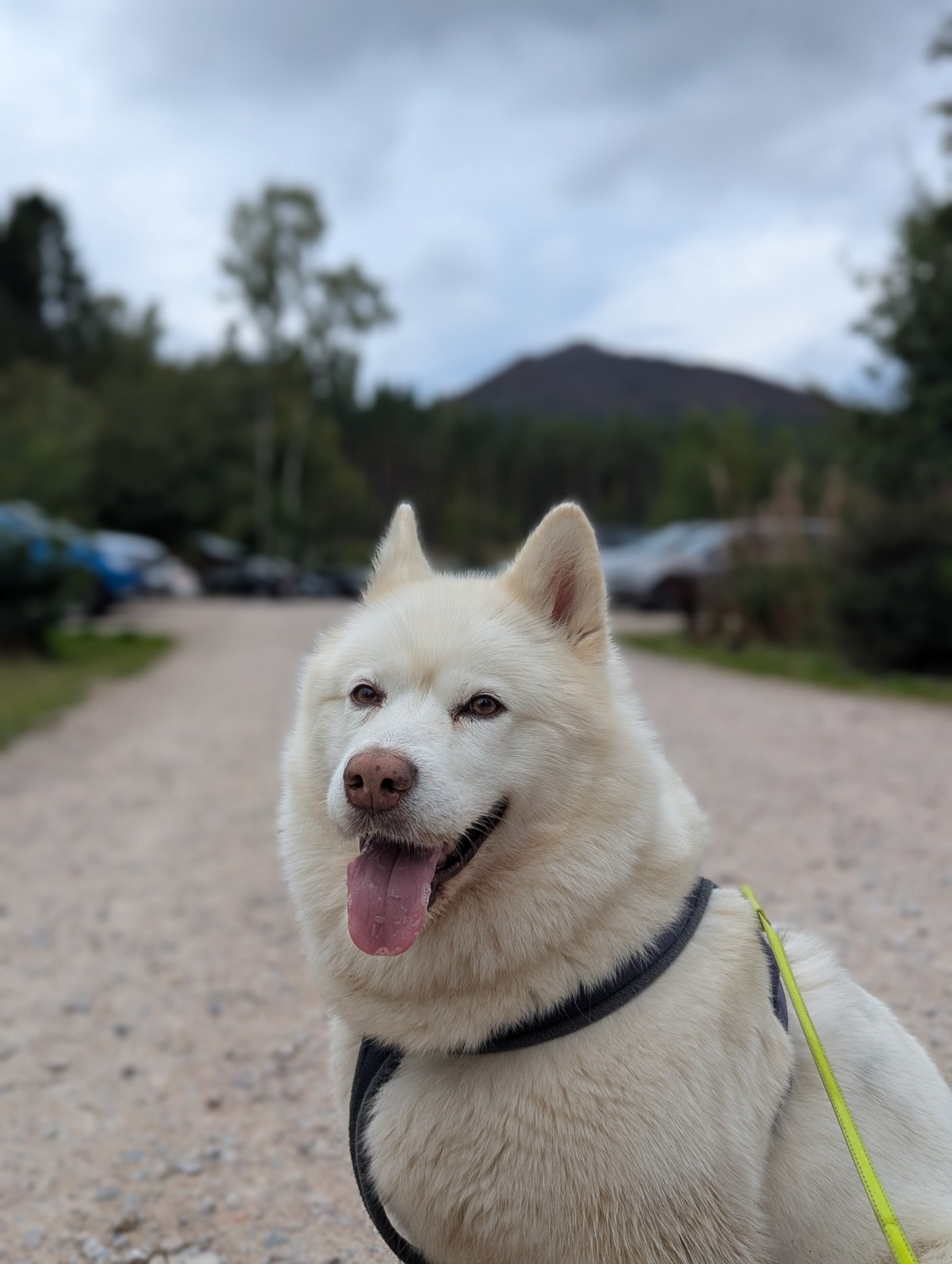 55f0538c-da42-4e3d-aba6-692e9d356056