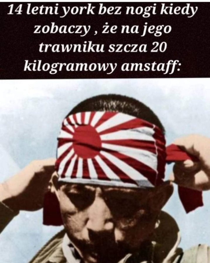 b761b1db-eefe-4e0d-9c04-938b8cc9dedf