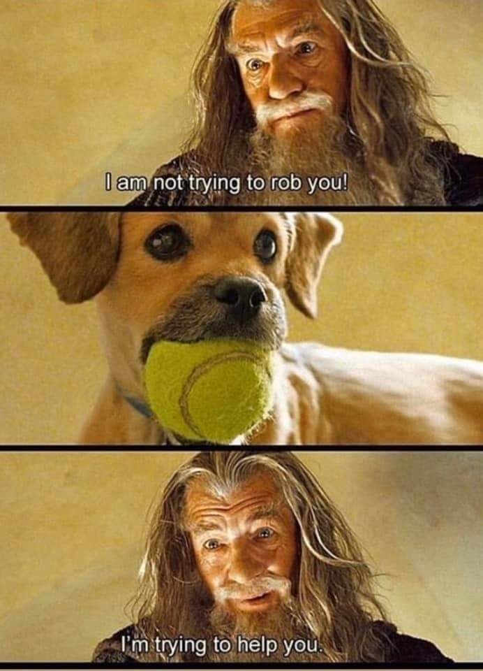 04d99516-2ea7-4b9a-97c1-293d7f194e11