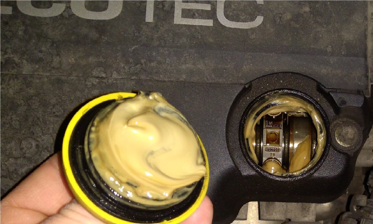 cc53a960-6640-45ce-9227-a46815b16d05