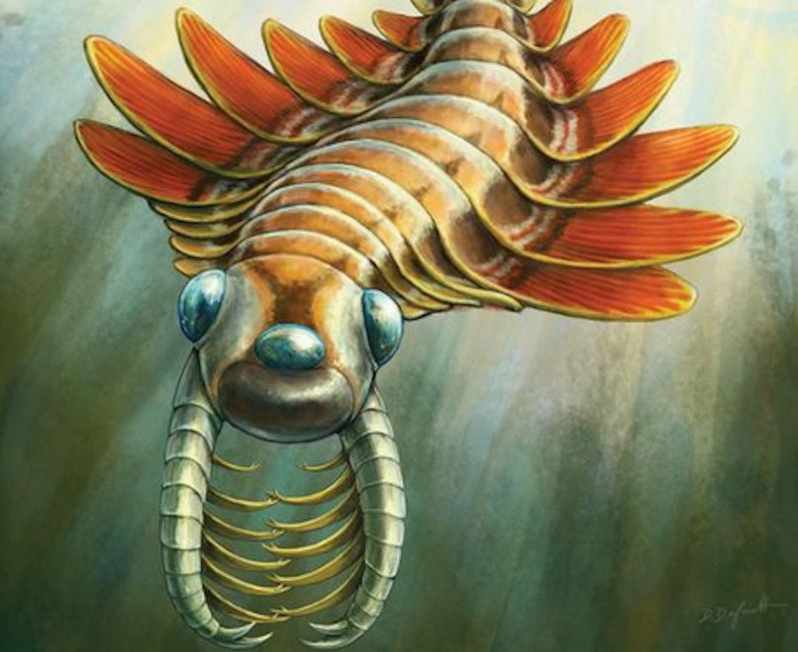 Trójoki drapieżnik sprzed pół miliarda lat