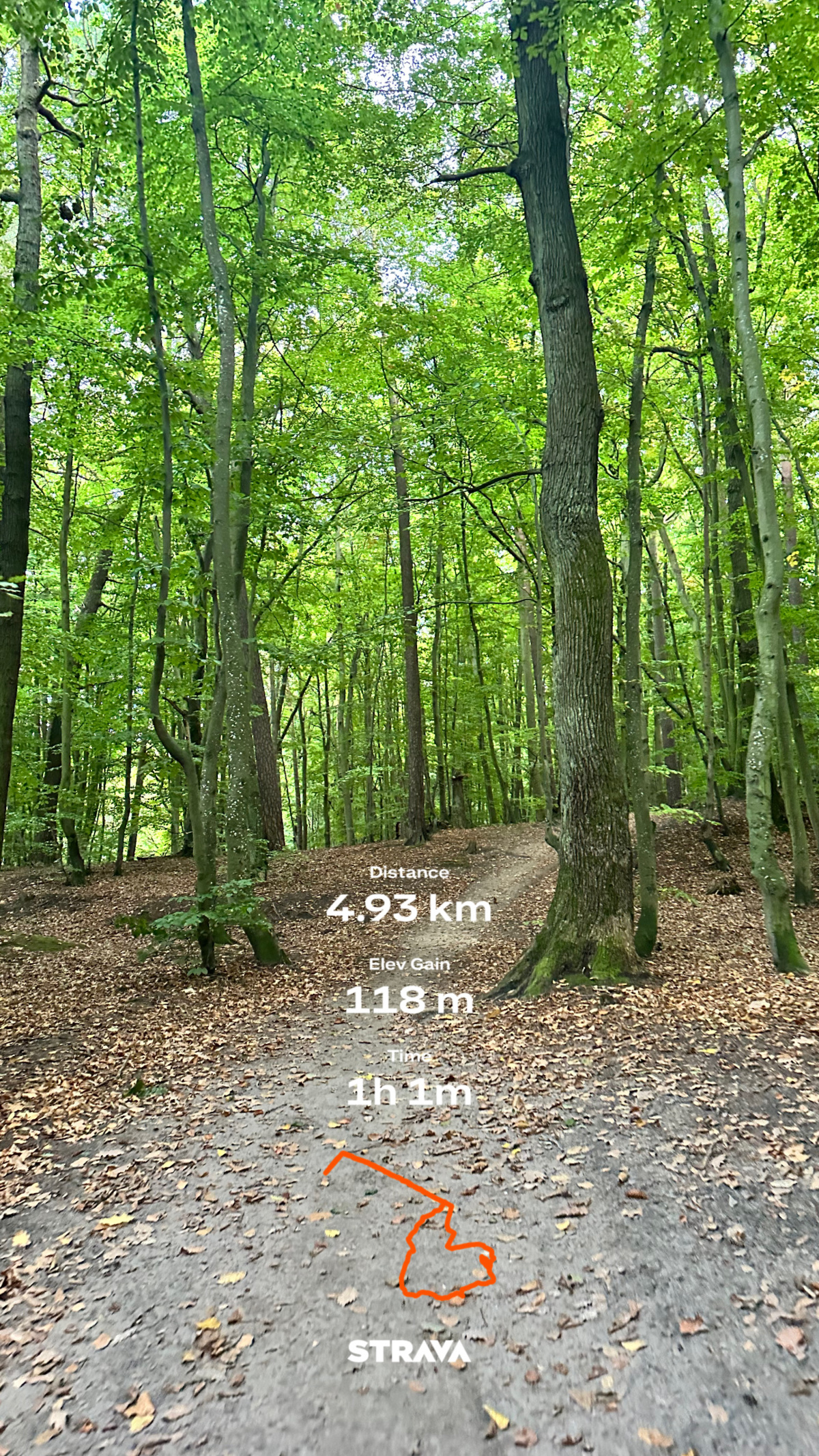 ea30df46-fea9-48c2-8e8d-a627016f5e0c