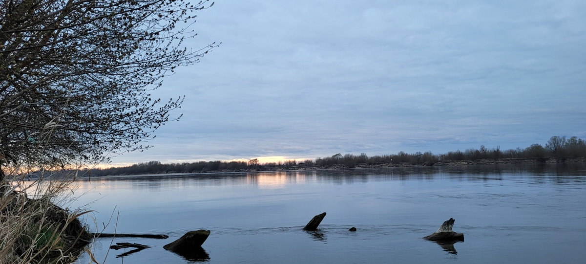 99b4f8dd-3ddc-4ef2-b741-f608a0ac3159