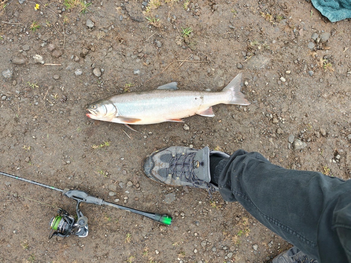 377e48d2-3b2d-466c-bb3e-3ec33e387df0