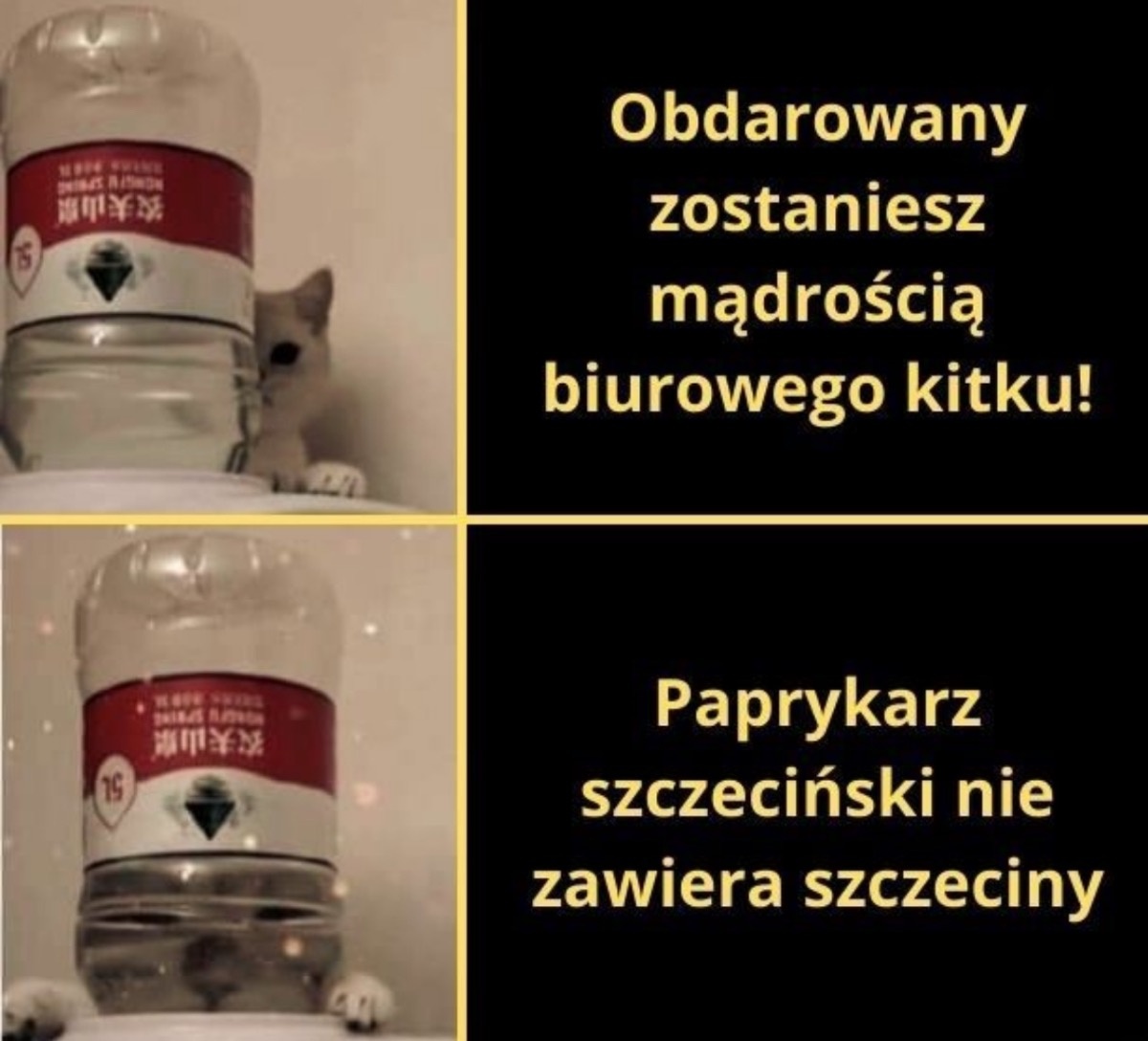 fc2433b7-2d1c-4e9a-a53a-ff0f34e11489