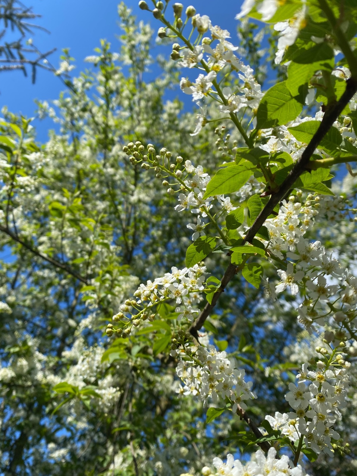 1c172f8d-15e4-45ac-a508-bde8451802cc