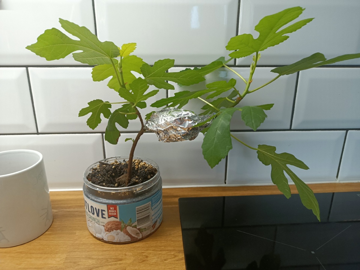 91823f45-144a-4ba0-a1e8-5df9e52ccf67