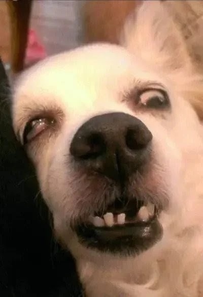 77c517a6-df2b-4e91-a168-1c8910dbca4a