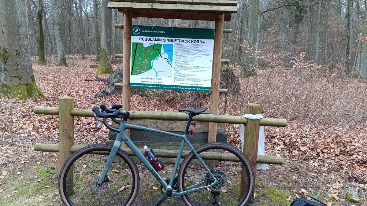 4028006f-5304-4698-8815-cc60da68e06c