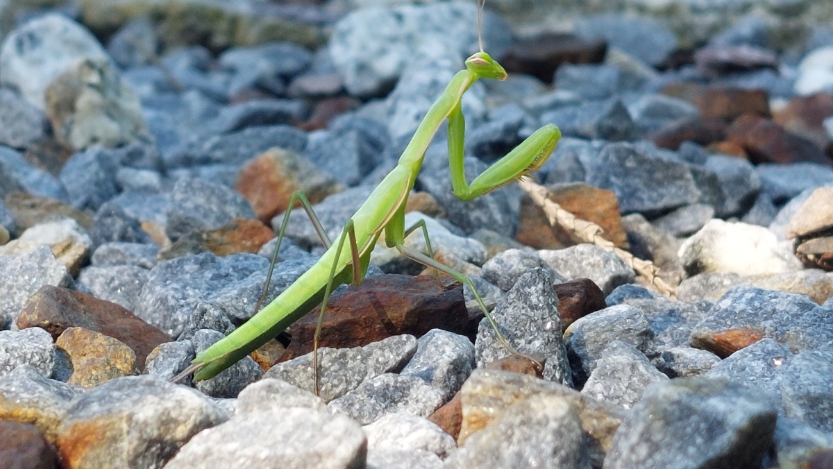 b0d25799-a252-4eeb-91ff-41a26665c0f8