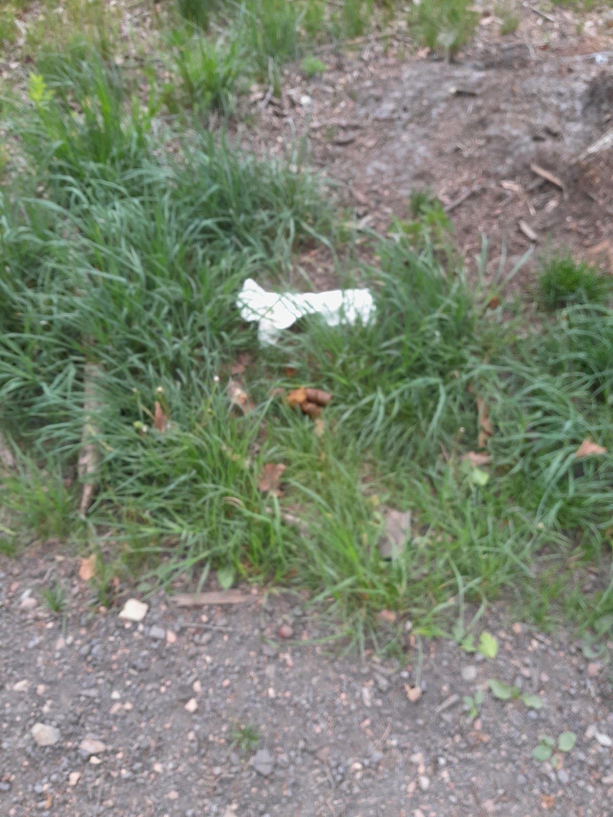 fb63f92e-3ea5-448c-b37f-8b51de99cf11