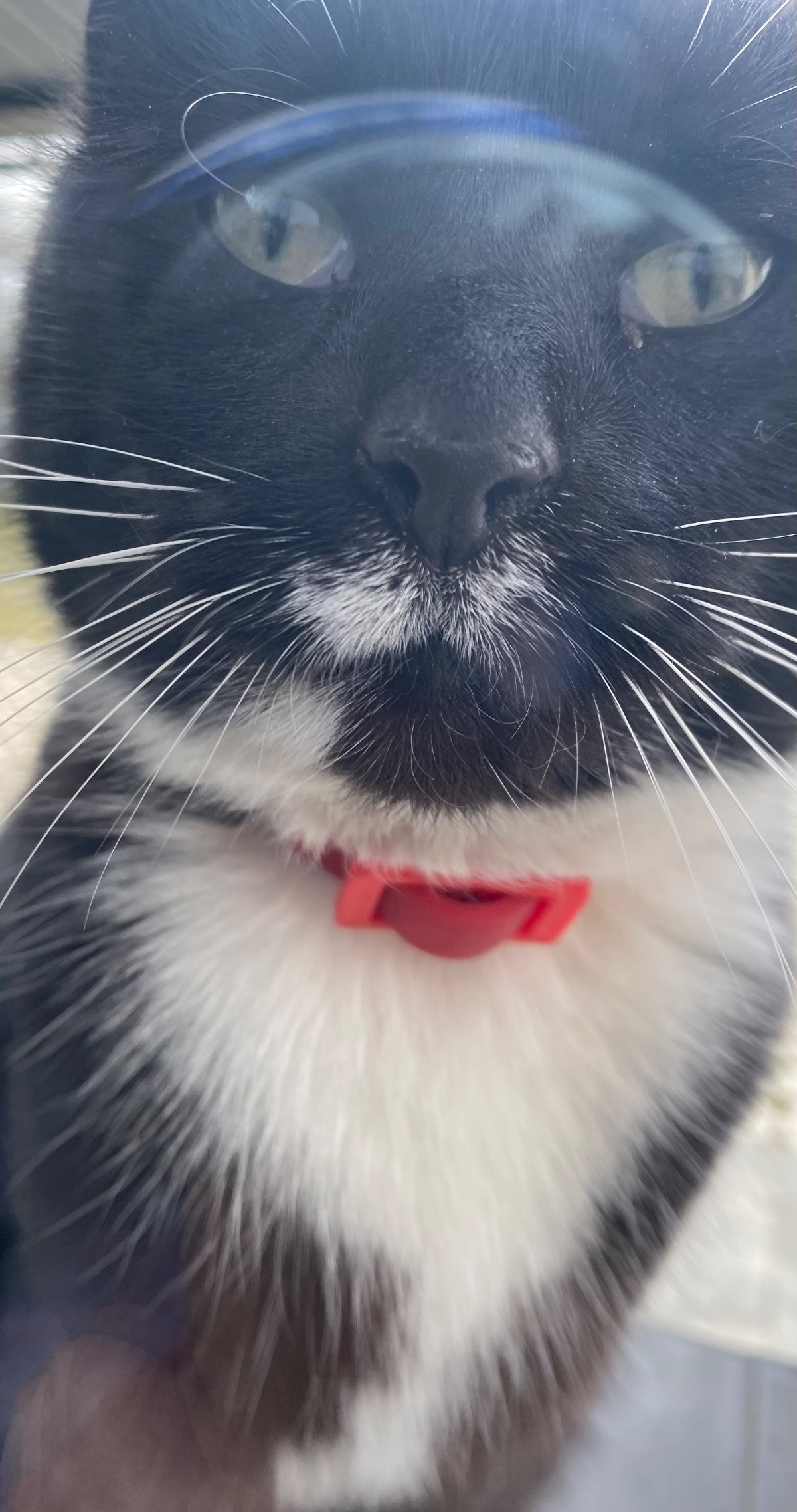 c83d9374-d1d2-49a8-89f9-0dc1ffd02a0a