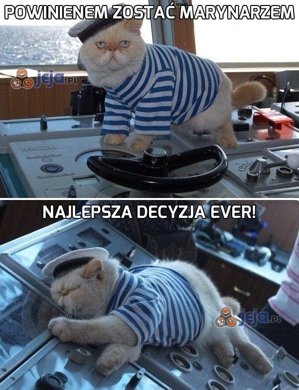 d61fbb8b-1f2f-4168-a65c-c1c5a08e5e7d