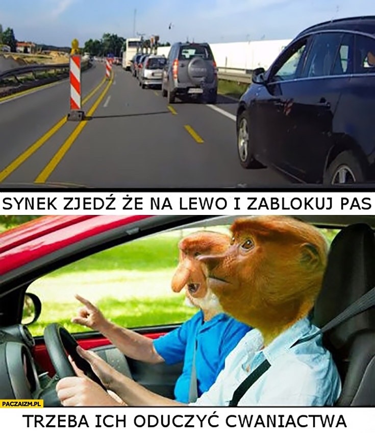 4c3d532a-8cd7-4f07-b0b3-1211b930454d