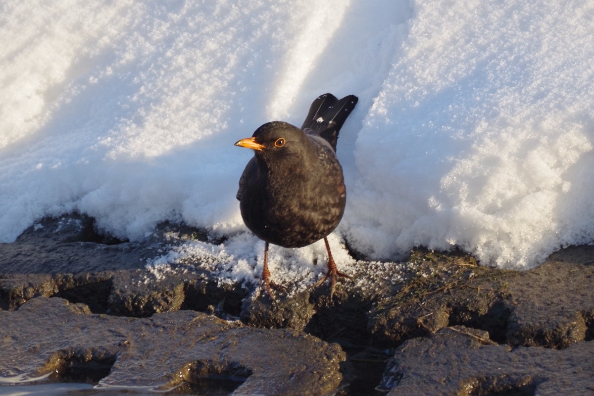 764448b5-d7e5-4d4f-98d0-a239f5c71939