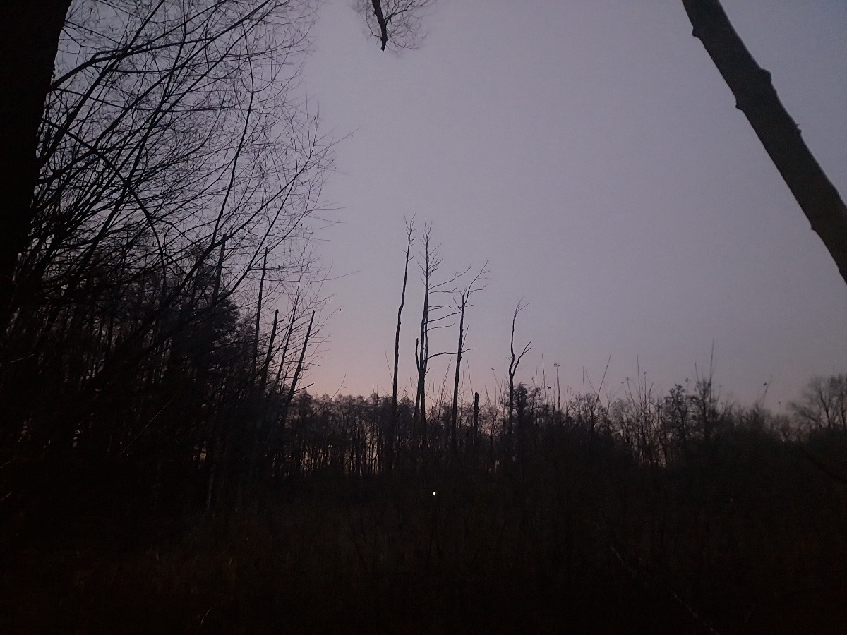 f67ff23d-7760-4bc3-84b6-9f6733019478