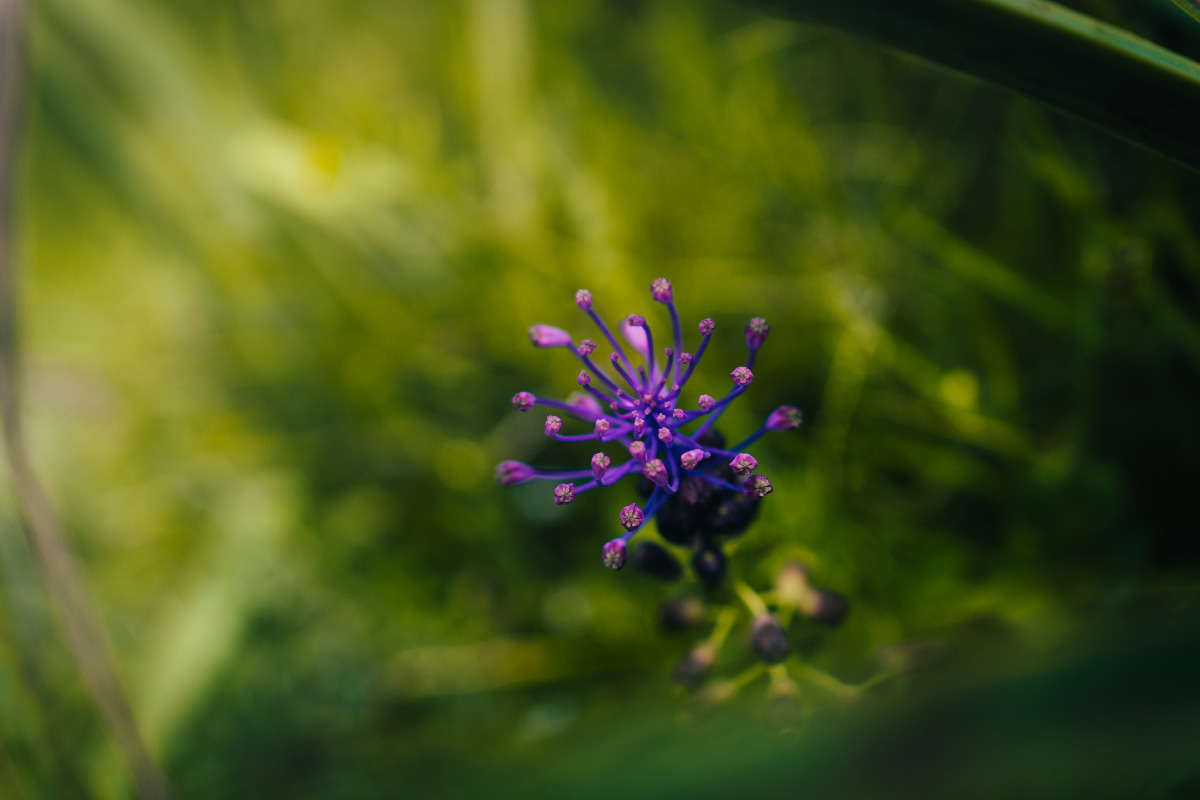 37b7429c-c18b-4901-8e6b-43d13ce48988