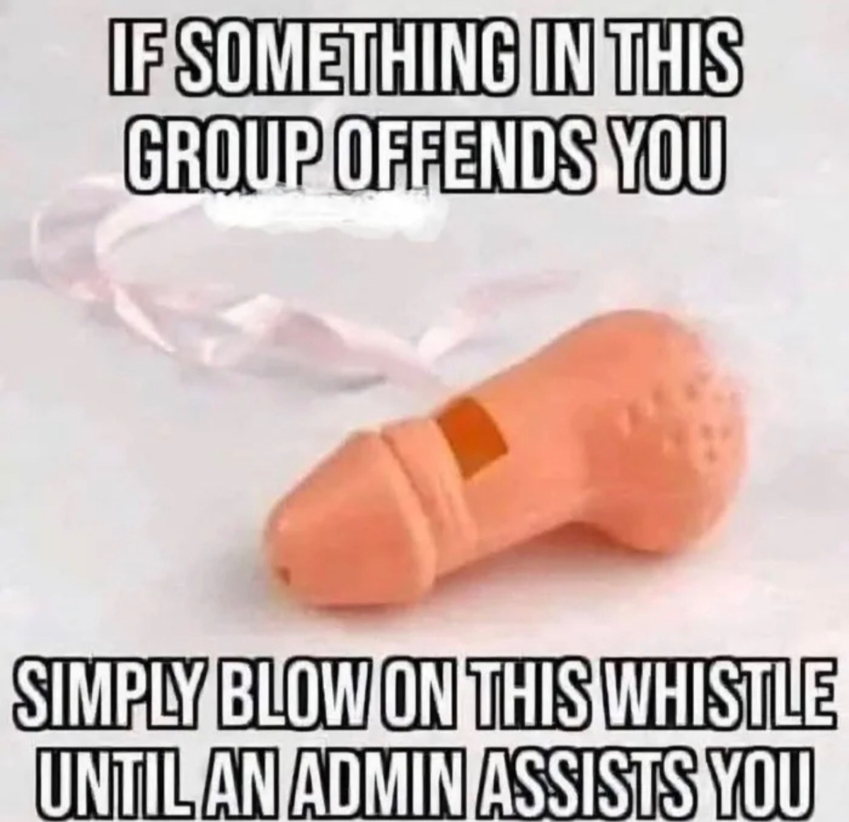 da0cdca2-58f9-4cbc-9790-b99a16569f55