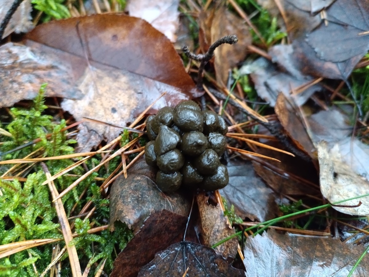 d2225d20-d482-4e02-9fdd-367a078bfb87