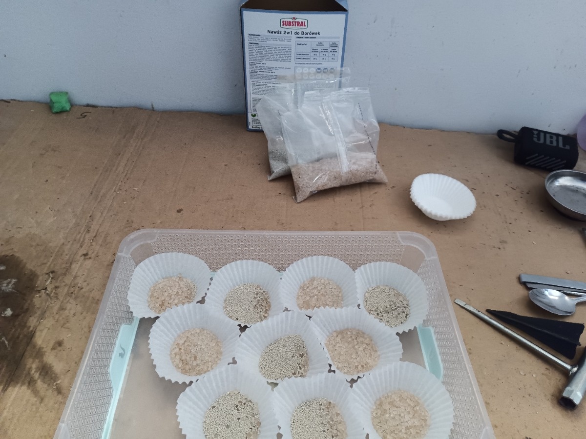 284aa8a6-30bd-4f39-947e-469192800179