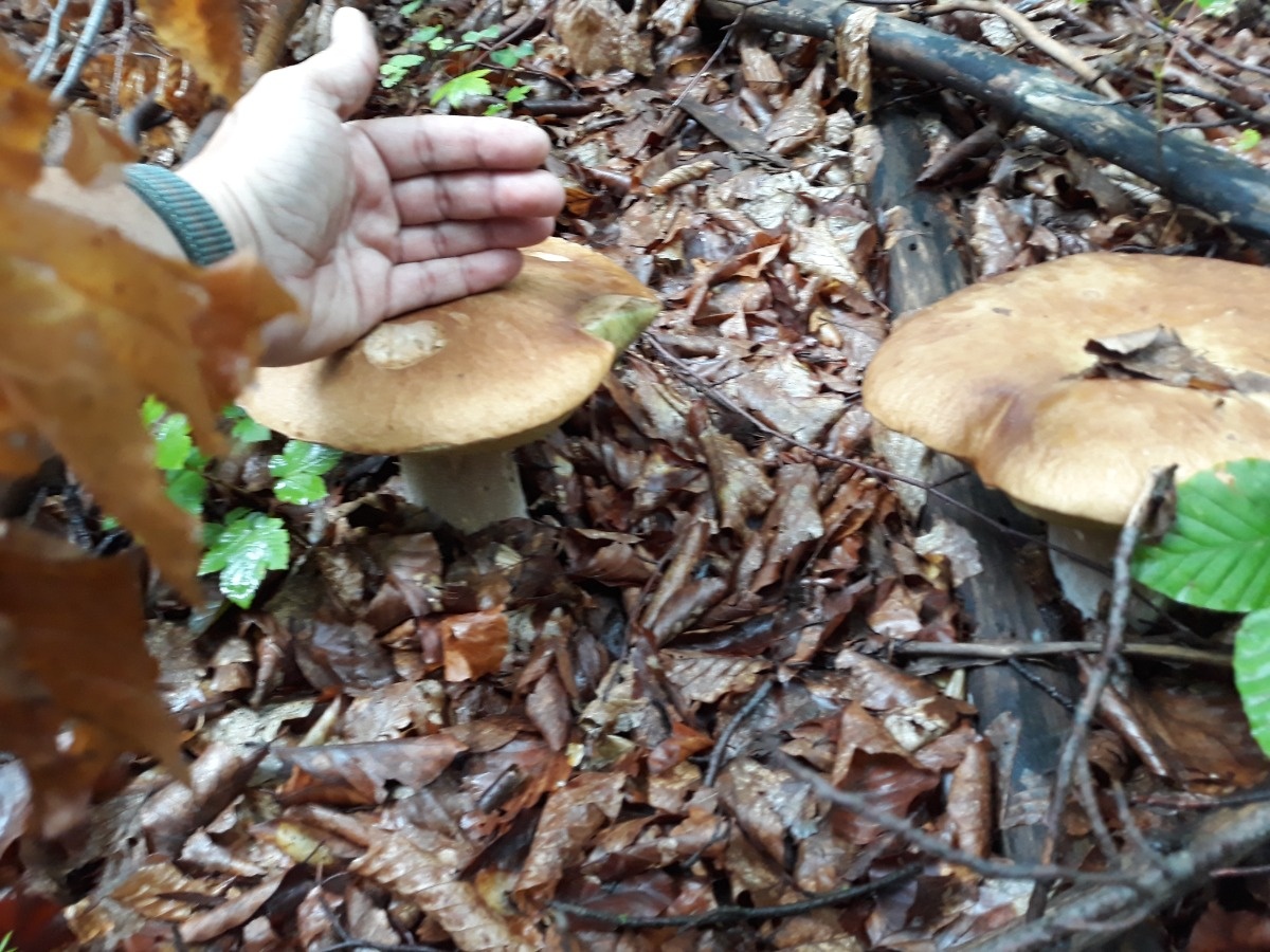 ddbc9bb7-49e6-45e2-aebf-905784a91867