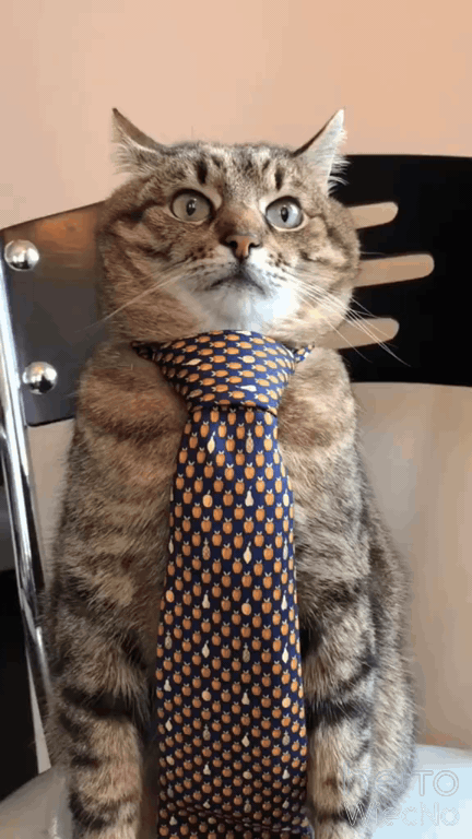 701ed203-b6a4-4f47-bc94-8ef676a2b905