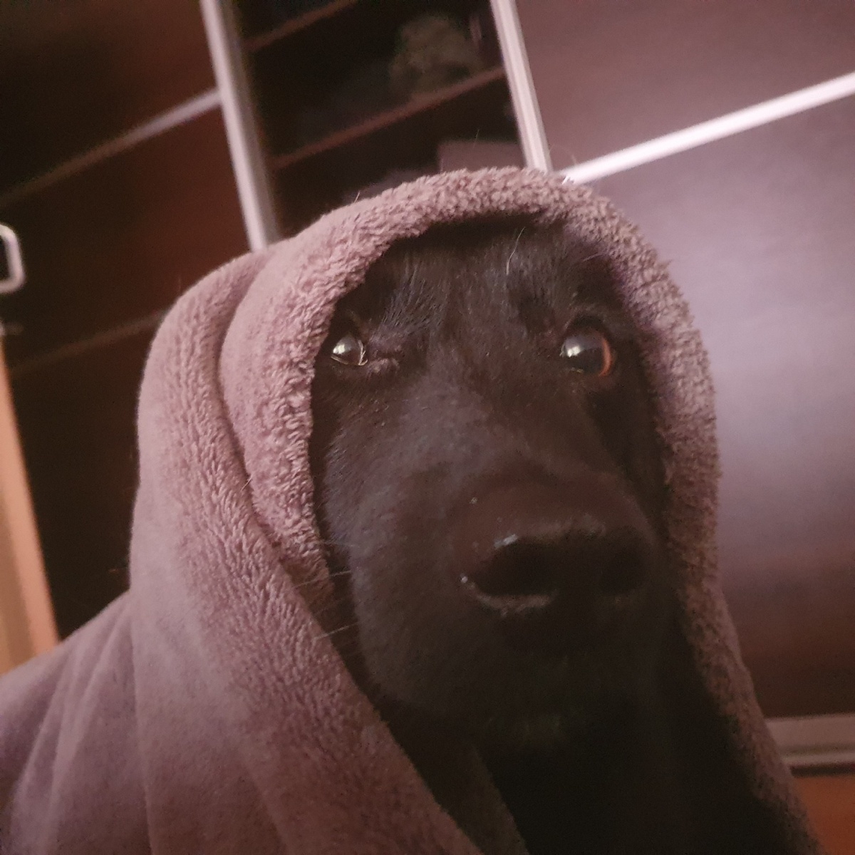 8e0ed944-8646-45a3-a3a8-ad4b65495dc5